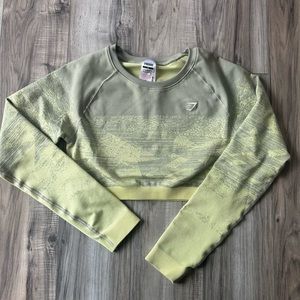 NWOT Gymshark Adapt Ombré Crop Top size Extra Large